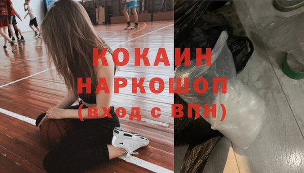дмт Осташков